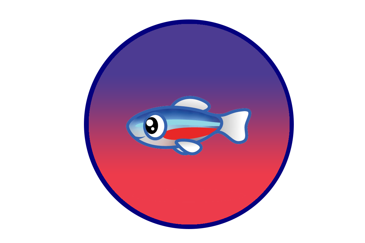Tetra